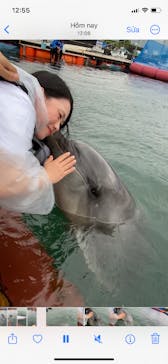 ドルフィンファンタジーに投稿された画像（2024/9/5）