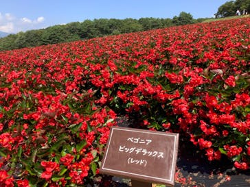 ひるがのピクニックガーデンに投稿された画像（2024/9/5）