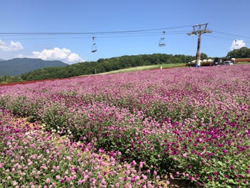 ひるがのピクニックガーデンに投稿された画像（2024/9/5）