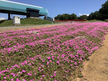 ひるがのピクニックガーデンに投稿された画像（2024/9/5）