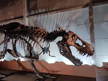 巨大恐竜展2024に投稿された画像（2024/9/5）