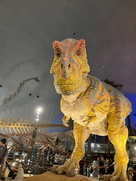 福井県立恐竜博物館に投稿された画像（2024/9/5）