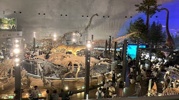 福井県立恐竜博物館に投稿された画像（2024/9/5）