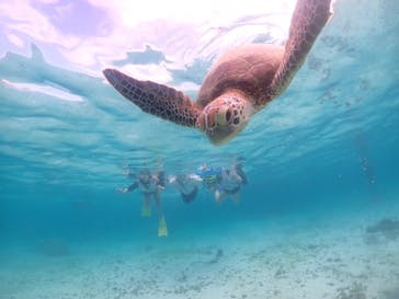 元気玉に投稿された画像（2024/9/5）