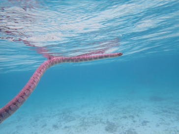 元気玉に投稿された画像（2024/9/5）