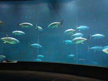 葛西臨海水族園に投稿された画像（2024/9/5）