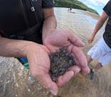 西表島 ADVENTURE PiPi（アドベンチャーピピ）に投稿された画像（2024/9/5）