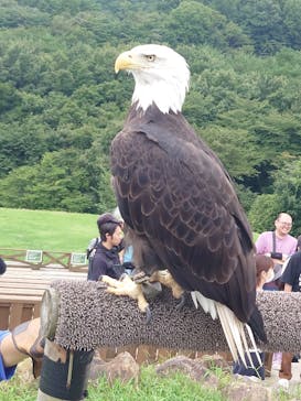 那須どうぶつ王国に投稿された画像（2024/9/5）