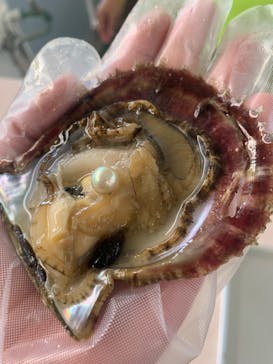 真珠工房 真珠の里に投稿された画像（2024/9/5）