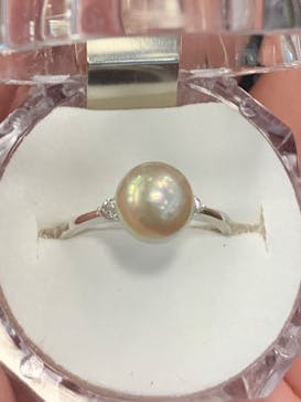 真珠工房 真珠の里に投稿された画像（2024/9/5）