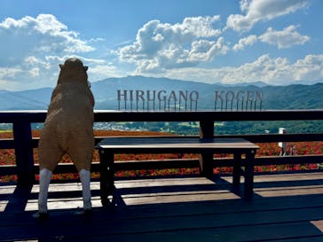 ひるがのピクニックガーデンに投稿された画像（2024/9/5）