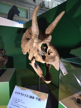 巨大恐竜展2024に投稿された画像（2024/9/5）