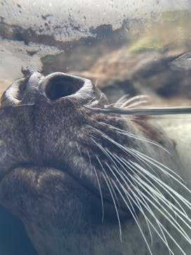 環境水族館アクアマリンふくしまに投稿された画像（2024/9/5）