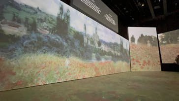 モネ＆フレンズ・アライブに投稿された画像（2024/9/5）