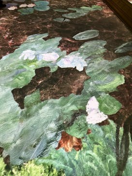 モネ＆フレンズ・アライブに投稿された画像（2024/9/5）