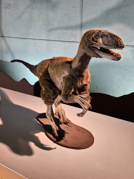 巨大恐竜展2024に投稿された画像（2024/9/5）