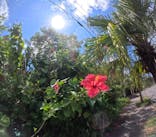 西表島 ADVENTURE PiPi（アドベンチャーピピ）に投稿された画像（2024/9/5）