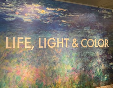 モネ＆フレンズ・アライブに投稿された画像（2024/9/5）