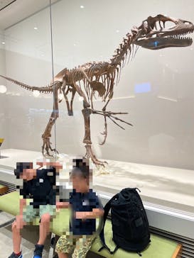 福井県立恐竜博物館に投稿された画像（2024/9/6）