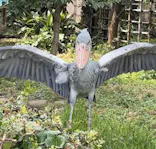 恩賜上野動物園に投稿された画像（2024/9/6）