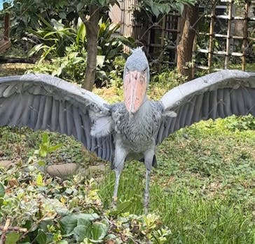 恩賜上野動物園に投稿された画像（2024/9/6）