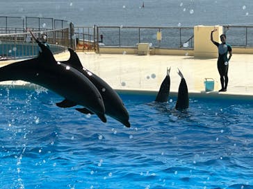 マリンワールド海の中道に投稿された画像（2024/9/6）