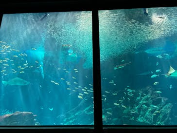 マリンワールド海の中道に投稿された画像（2024/9/6）