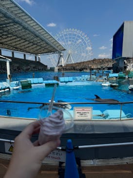 名古屋港水族館に投稿された画像（2024/9/6）