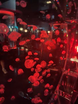 マクセル アクアパーク品川に投稿された画像（2024/9/6）