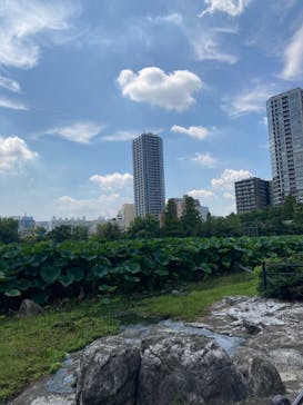 恩賜上野動物園に投稿された画像（2024/9/6）