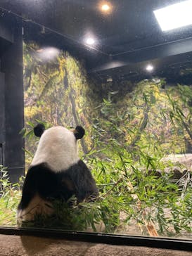 恩賜上野動物園に投稿された画像（2024/9/6）