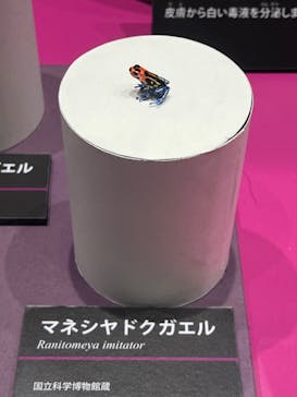 特別展　毒に投稿された画像（2024/9/6）