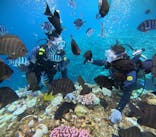 マリンクラブジジに投稿された画像（2024/9/6）