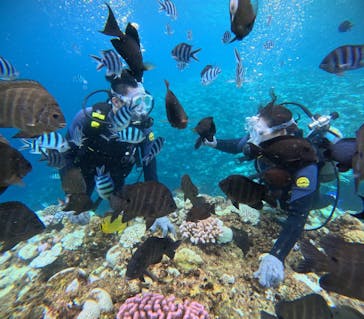 マリンクラブジジに投稿された画像（2024/9/6）