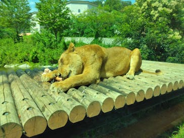 多摩動物公園に投稿された画像（2024/9/6）