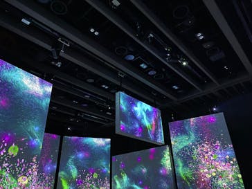 モネ＆フレンズ・アライブに投稿された画像（2024/9/6）