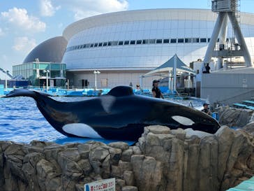 名古屋港水族館に投稿された画像（2024/9/6）