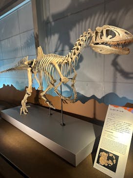 巨大恐竜展2024に投稿された画像（2024/9/6）