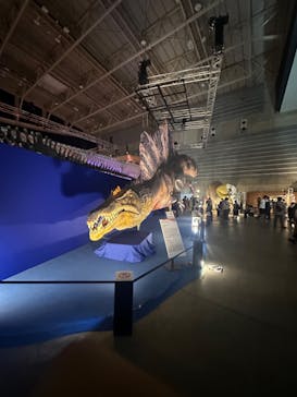 巨大恐竜展2024に投稿された画像（2024/9/6）