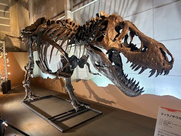 巨大恐竜展2024に投稿された画像（2024/9/6）