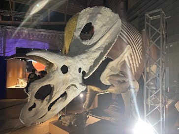 巨大恐竜展2024に投稿された画像（2024/9/6）