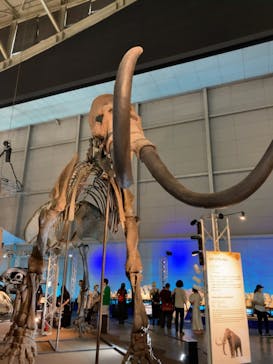 巨大恐竜展2024に投稿された画像（2024/9/6）