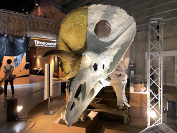 巨大恐竜展2024に投稿された画像（2024/9/6）