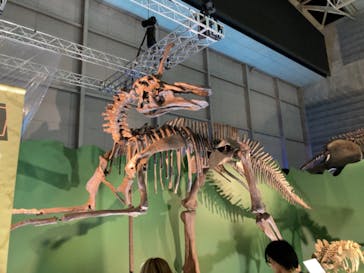 巨大恐竜展2024に投稿された画像（2024/9/6）
