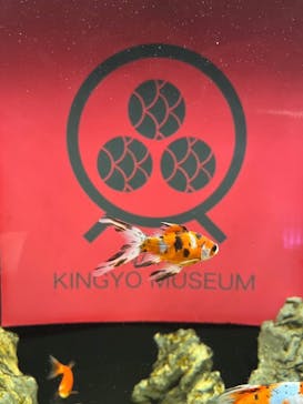 NARA IKIMONO MUSEUMに投稿された画像（2024/9/6）