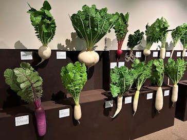 和食～日本の自然、人々の知恵～（東北歴史博物館）に投稿された画像（2024/9/6）