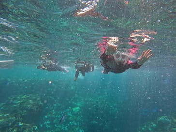 沖縄マリンサービス碧に投稿された画像（2024/9/6）