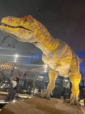 福井県立恐竜博物館に投稿された画像（2024/9/6）