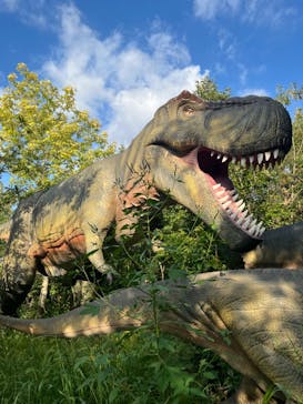 福井県立恐竜博物館に投稿された画像（2024/9/6）