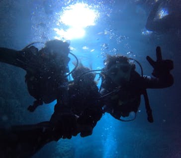 沖縄マリンサービス碧に投稿された画像（2024/9/6）